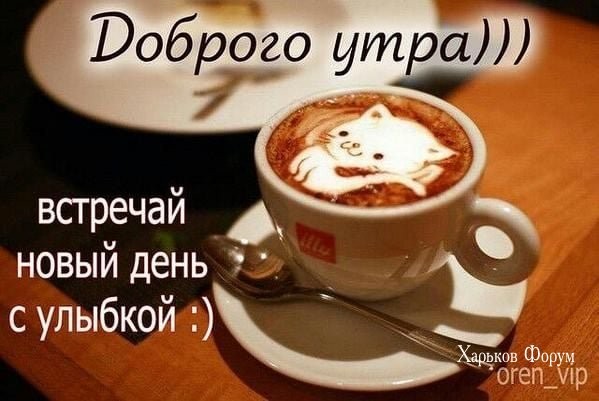 e8f92404fe40ed2e93fb.jpg