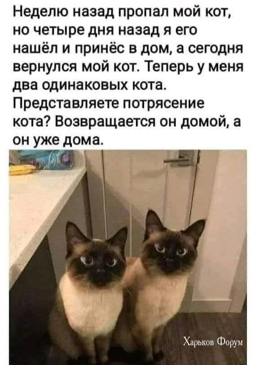e8fa6de42ca170cdf64570dc.webp