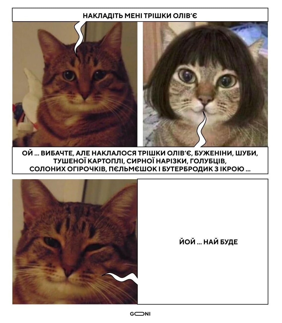 e8fc62fe6e8bce56.jpg