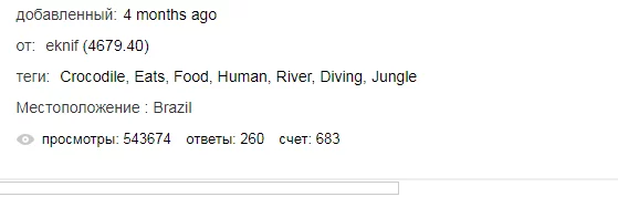 e8ffjj.webp