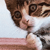 e8jehb.gif
