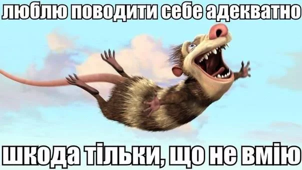 e8jgdd.webp