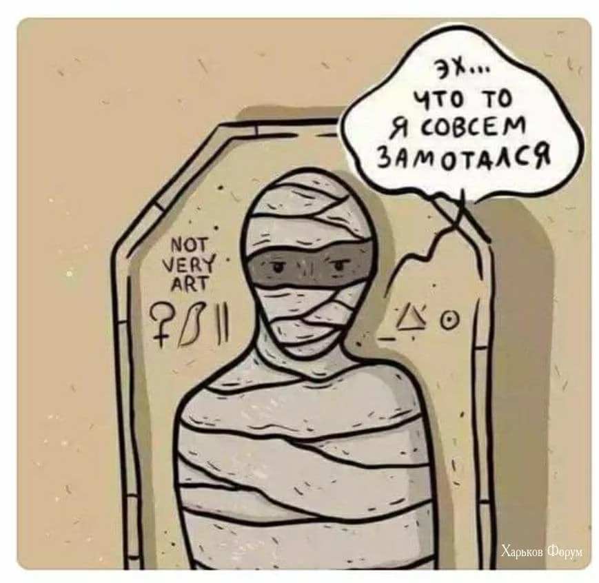 e901833825db82790293bdb.webp