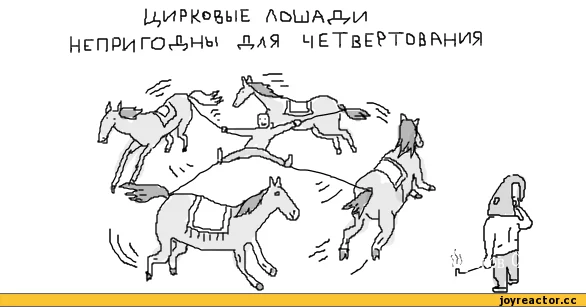 e904e15675c0059c5d98d5.webp