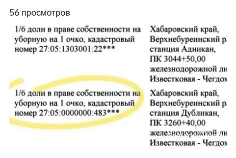 e9083e7a4a8dd2d5e49ddd1.webp