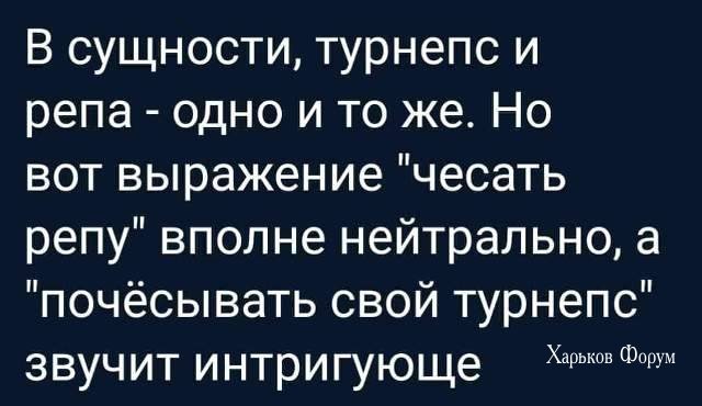 e9151ee121b789fc81a3a019.jpg