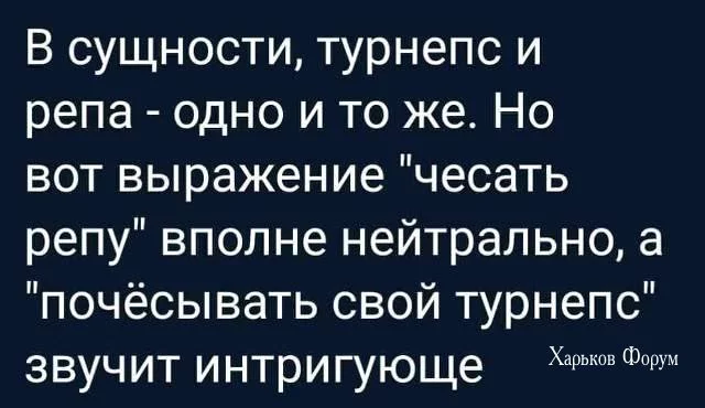 e9151ee121b789fc81a3a019.webp