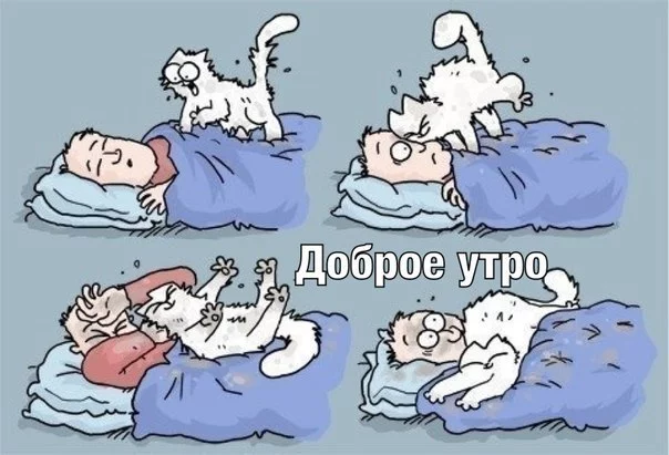 E91ib3WI9IM.webp