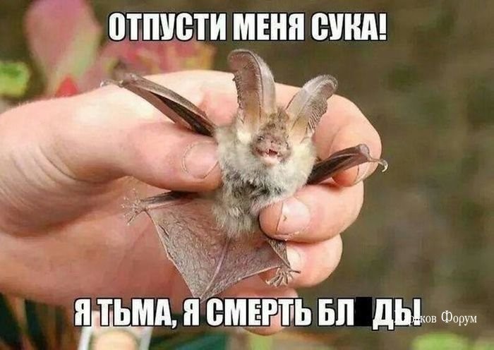 e920e9d1343802a9754fc93c.jpg
