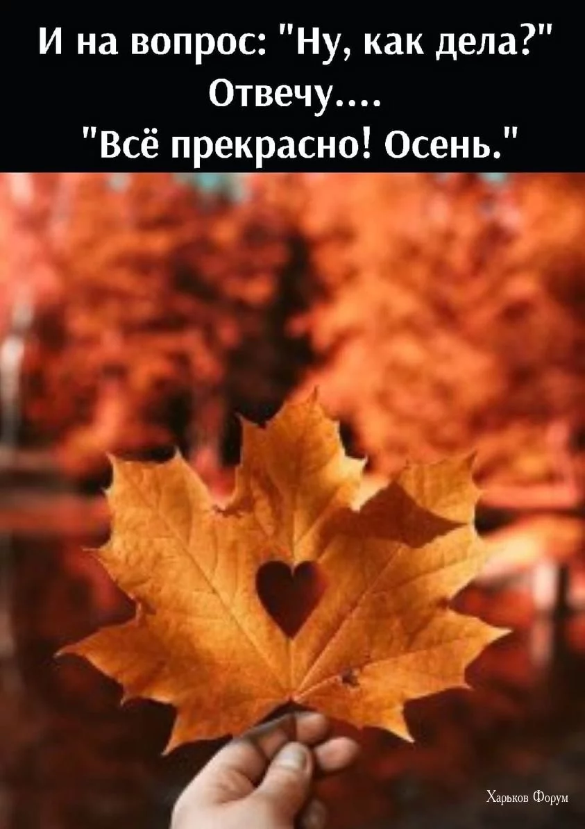 e9294cb56537f689.webp