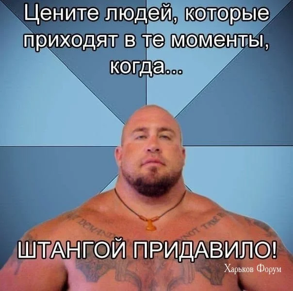 e93148fa00ae46e19.webp