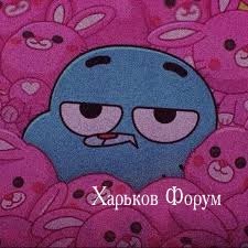 e93191ee239a6931321.jpg