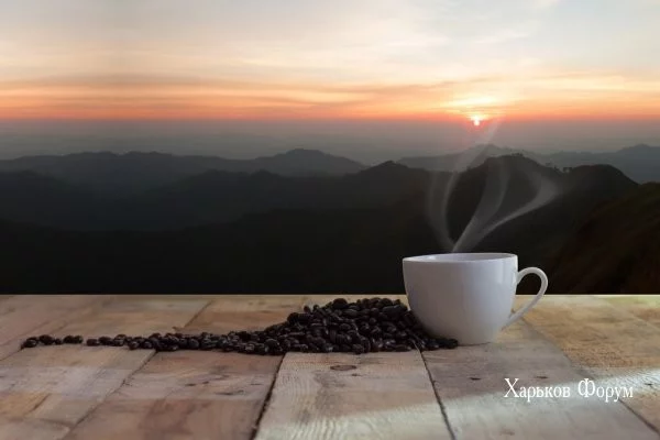 e94955000f1dab601c.webp