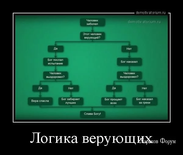 e95cfb3af6652d53489.webp