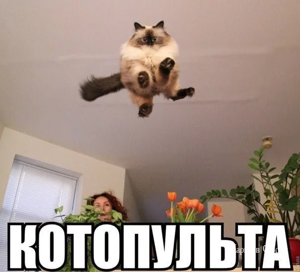 e97e88722153ce675e09.webp