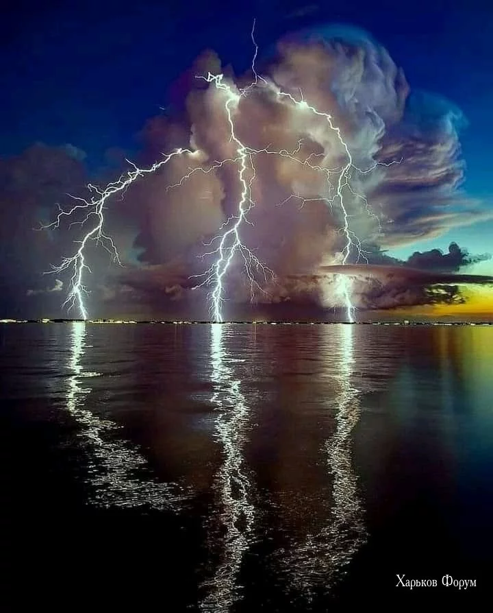 e9954bb45c18174372f123ca.webp