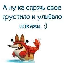 e9dhdj.webp