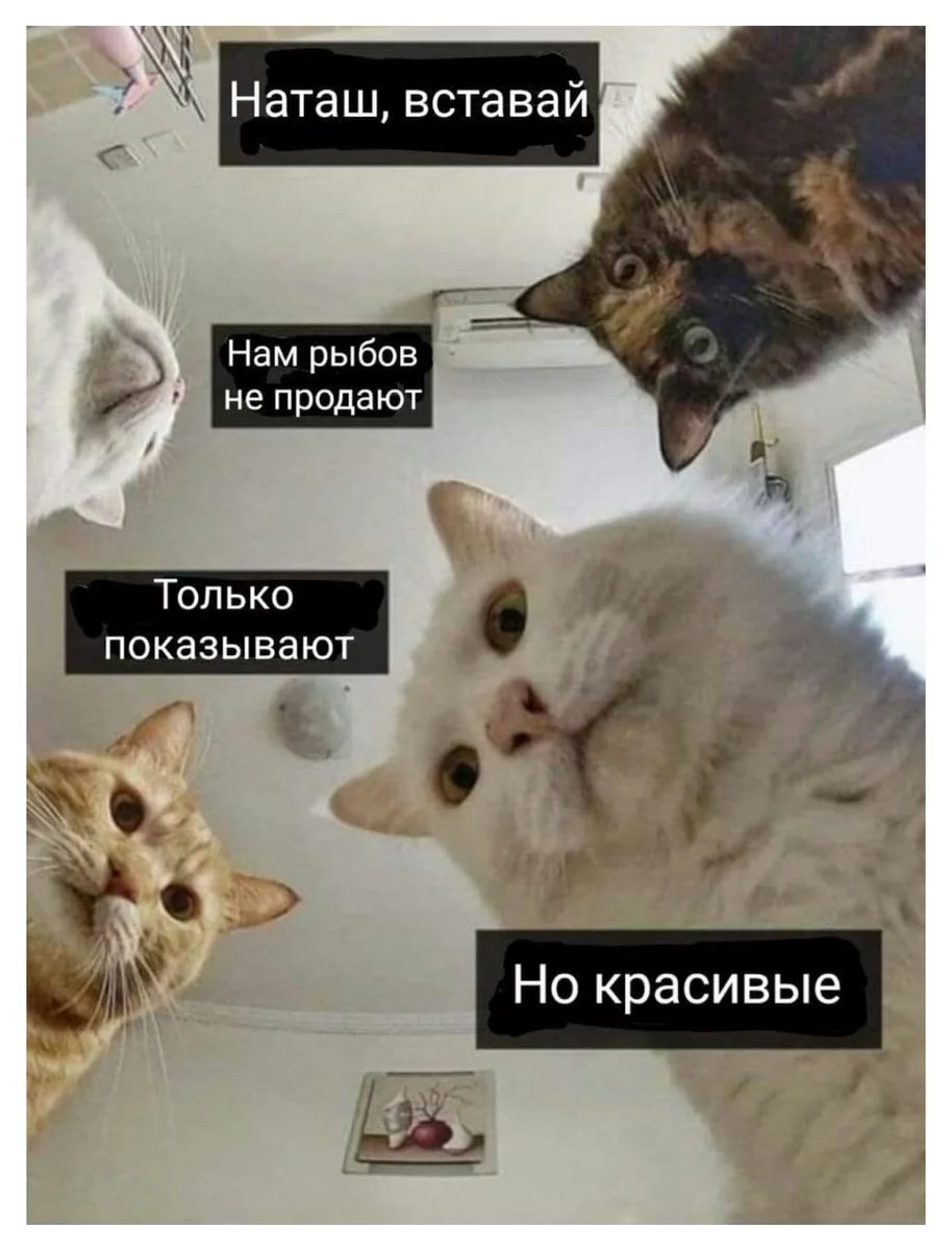 E9dQ82jXEAQvMNF.webp
