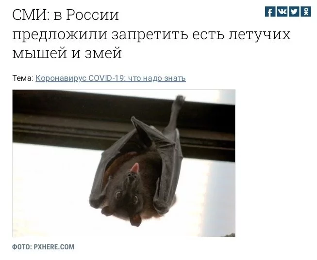 e9e1d5c9bd5e56ab58eb.webp