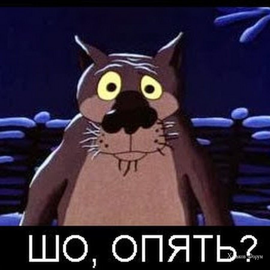 e9f7bbce6cf2a87a23c6c.jpg