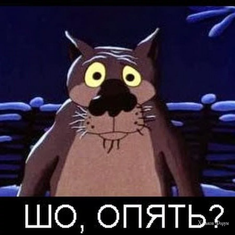 e9f7bbce6cf2a87a23c6c.webp