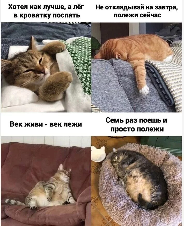 E_IObysXMAIGrV1?format=jpg&name=900x900.webp