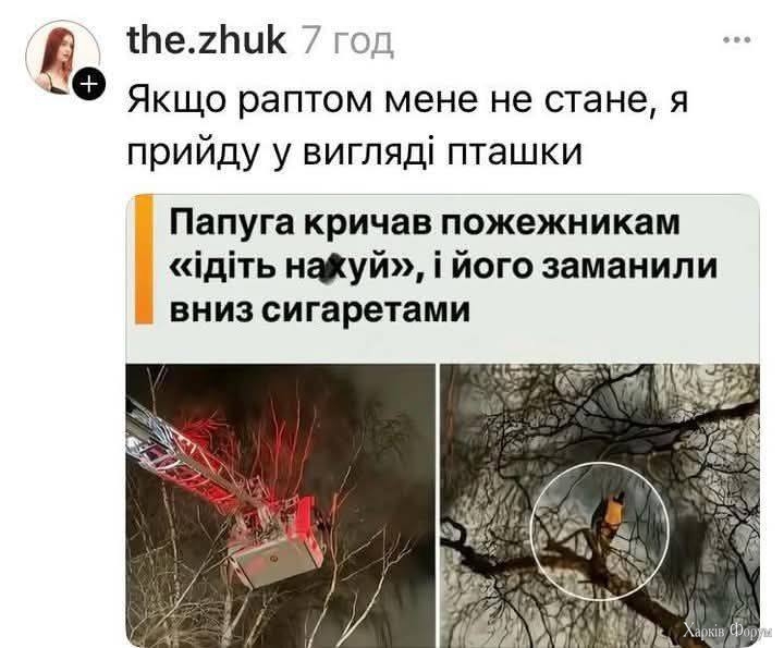 e_N__bSsXOG1aA0&_nc_zt=23&_nc_ht=scontent.fiev25-1.jpg