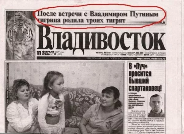 e_vstrechi_s_putinuym_tigrica_rodila_troih_tigryat.webp