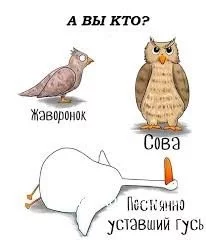 ea0f20d5f0b081230788f.webp
