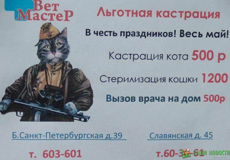 ea1djf.webp