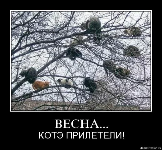 ea4gjb.webp