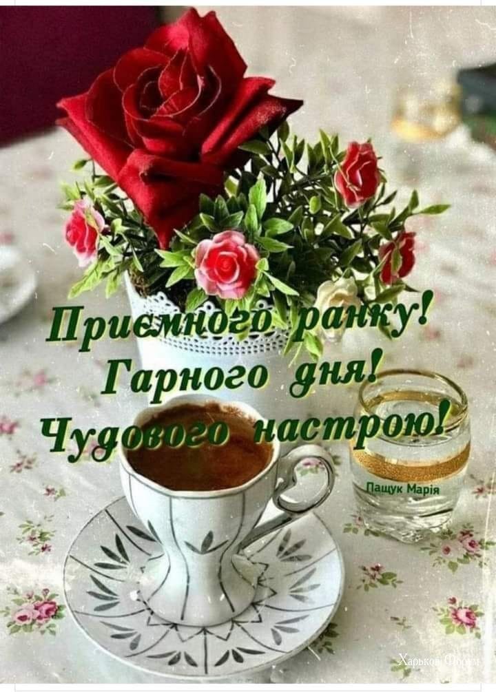 ea59411df1718dd16d5b0542.jpg
