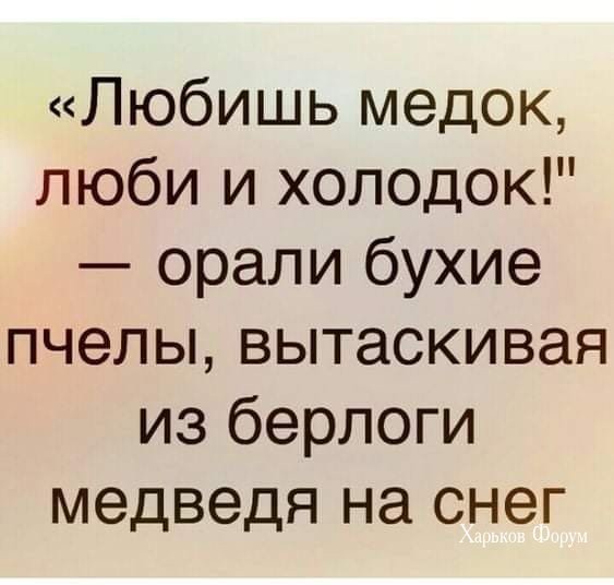 ea5d9527fd502d89fb0b8.jpg