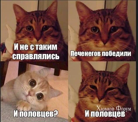 ea7b609adf9b50bea9317.webp