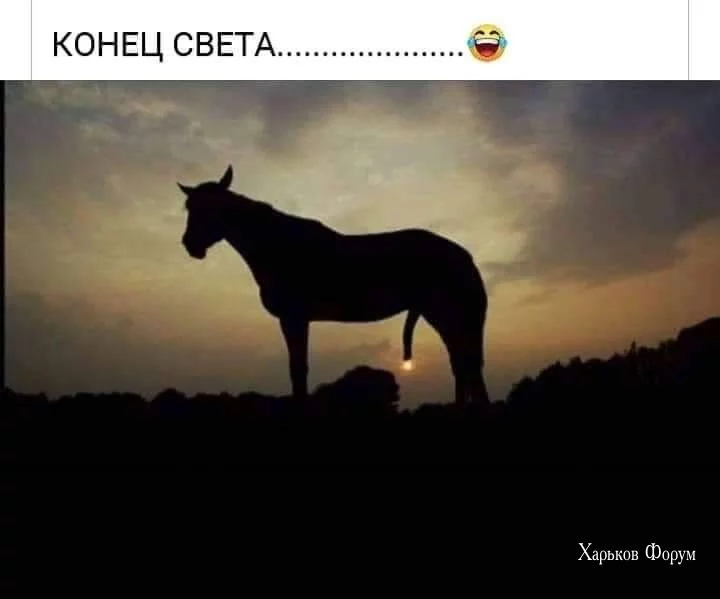 ea7dfa19aab555dd.webp