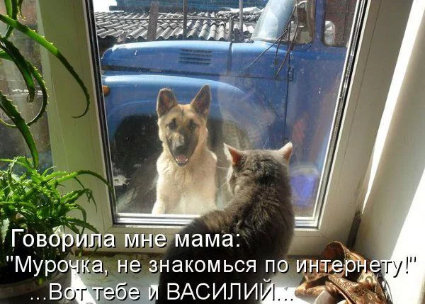 ea7gad.webp