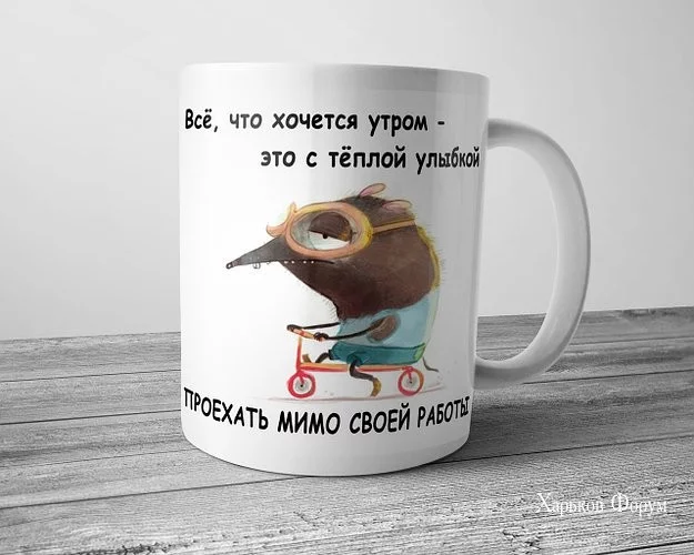 ea802234bce28044fe.webp