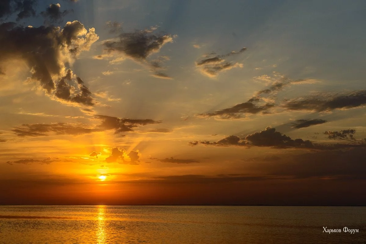 ea901aeea63add07cc.webp