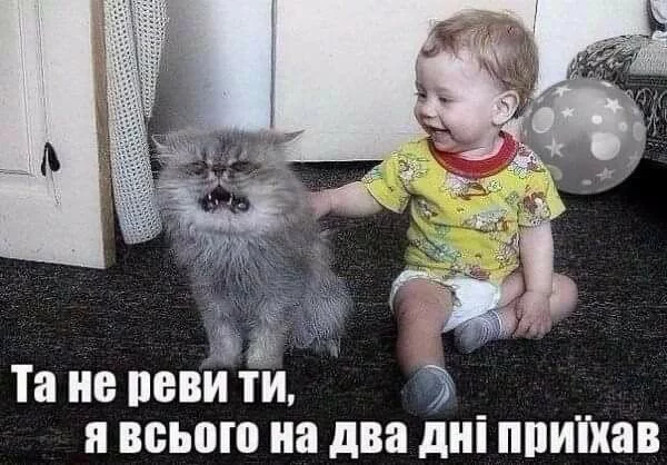 eabe8e.webp