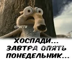 eac445376717e8730a.webp