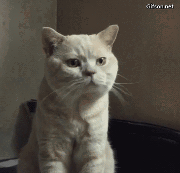 ead8ba.gif