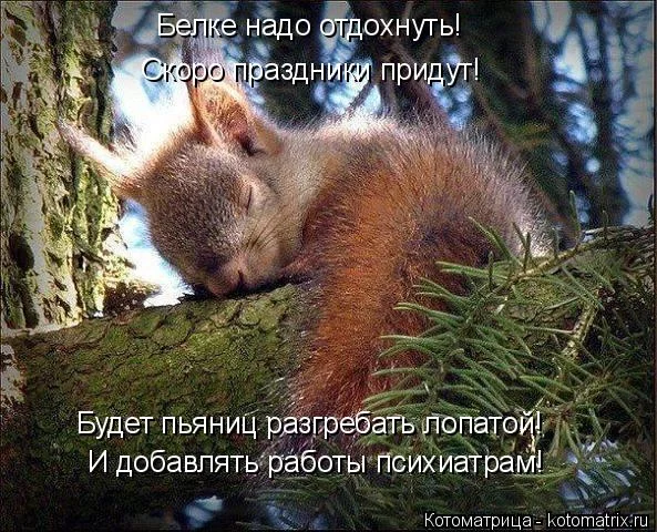 eaed2h.webp