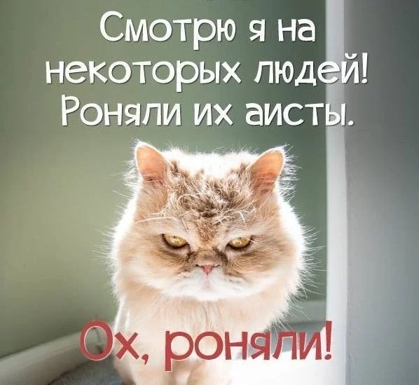 eaf2je.webp