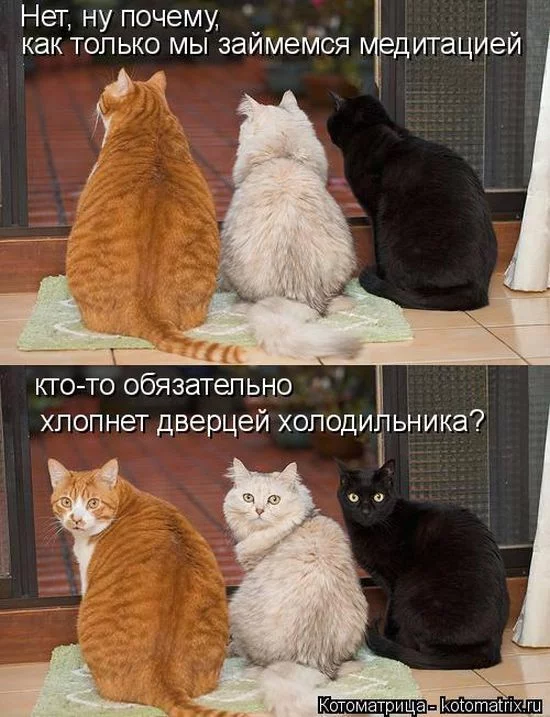 eag5je.webp