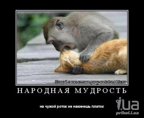 eagg7a.webp
