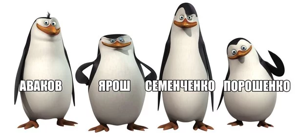 eaQ0V_YuKe4.webp
