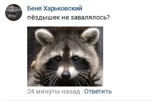 eb0jcc.webp