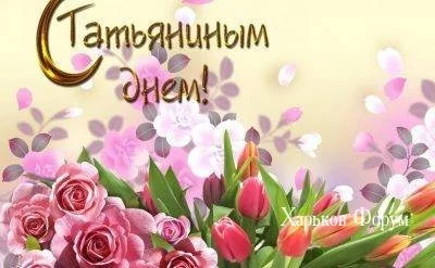 eb24043437b3d6861d1.webp