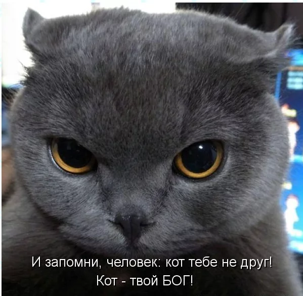 eb241af12418c5bc5c235d9f7164ec9d.webp