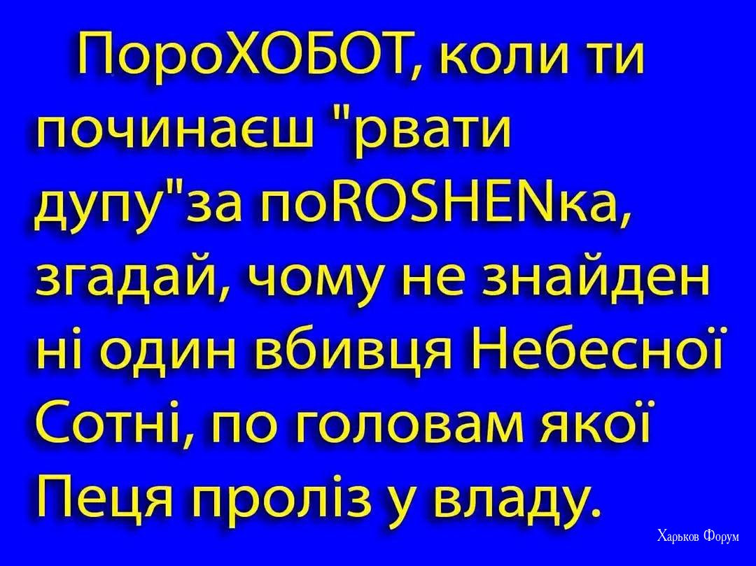 eb31393733736c32d77b8.jpg